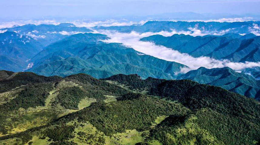 　9月17日無(wú)人機(jī)拍攝的陜西紫柏山國(guó)家森林公園。 雨后初霽，位于陜西省漢中市留壩縣的紫柏山國(guó)家森林公園內(nèi)云霧升騰，宛如畫(huà)境。 新華社記者 劉瀟 攝