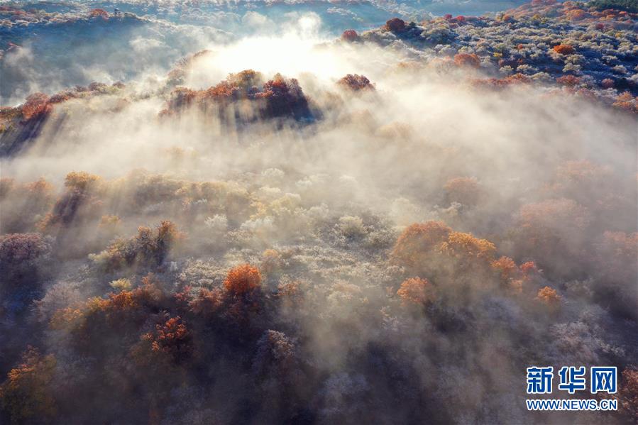 這是10月12日拍攝的大青溝國(guó)家級(jí)自然保護(hù)區(qū)秋景（無人機(jī)照片）。 眼下，位于內(nèi)蒙古自治區(qū)通遼市科爾沁左翼后旗的大青溝國(guó)家級(jí)自然保護(hù)區(qū)秋意正濃，斑斕多彩的秋景令人陶醉。 新華社記者 劉懿德 攝