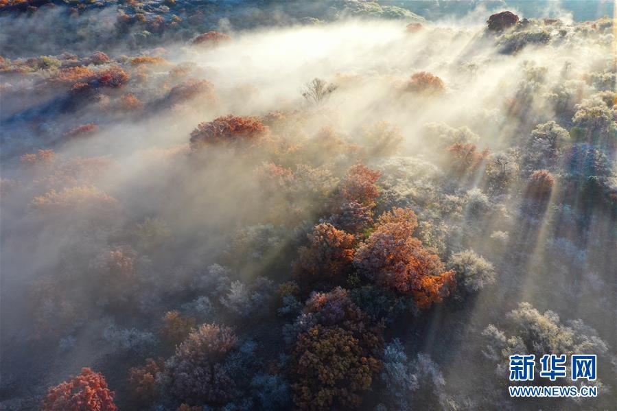 這是10月12日拍攝的大青溝國(guó)家級(jí)自然保護(hù)區(qū)秋景（無人機(jī)照片）。 眼下，位于內(nèi)蒙古自治區(qū)通遼市科爾沁左翼后旗的大青溝國(guó)家級(jí)自然保護(hù)區(qū)秋意正濃，斑斕多彩的秋景令人陶醉。 新華社記者 劉懿德 攝