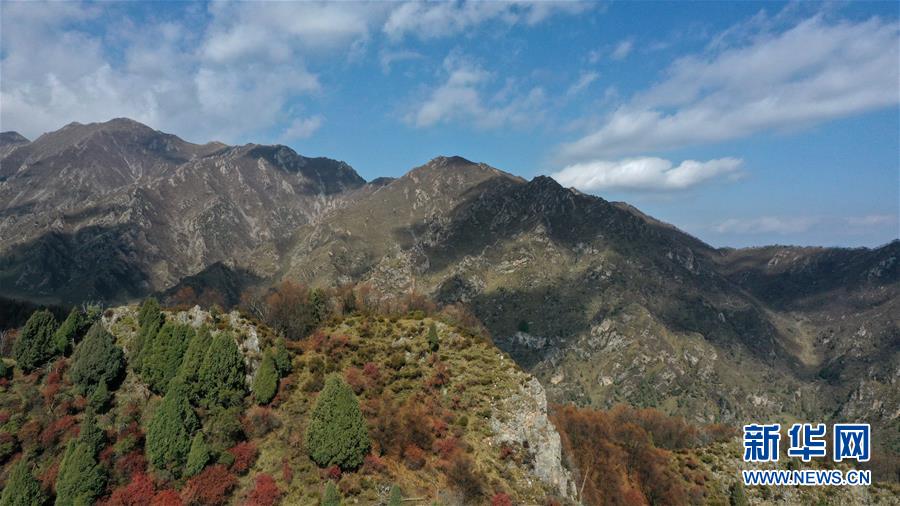 這是10月15日拍攝的北山國(guó)家森林地質(zhì)公園扎龍溝秋景（無(wú)人機(jī)照片）。 深秋時(shí)節(jié)，位于青海省海東市互助土族自治縣境內(nèi)的北山國(guó)家森林地質(zhì)公園內(nèi)，山巒、森林與藍(lán)天組成壯美的秋日畫卷。 新華社記者 張宏祥 攝