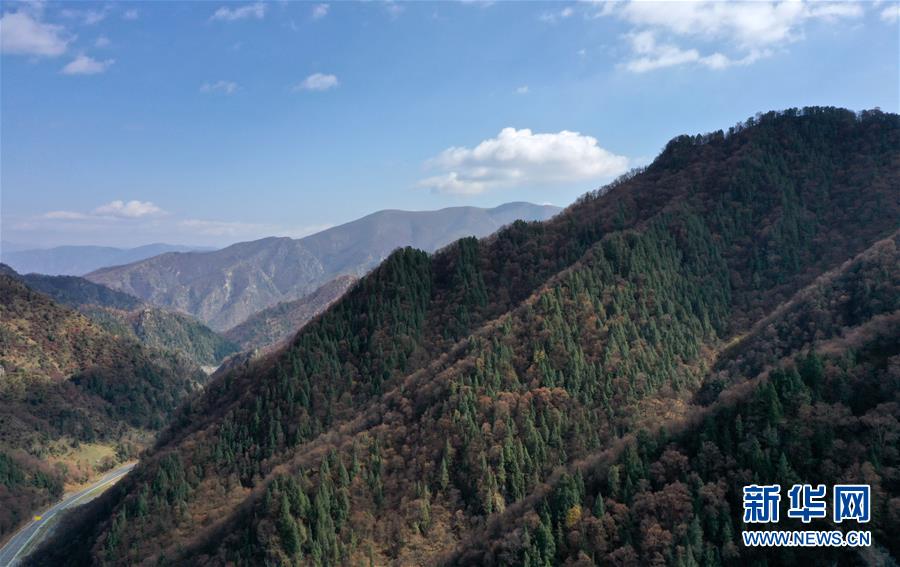 這是10月15日拍攝的北山國(guó)家森林地質(zhì)公園扎龍溝秋景（無(wú)人機(jī)照片）。 深秋時(shí)節(jié)，位于青海省海東市互助土族自治縣境內(nèi)的北山國(guó)家森林地質(zhì)公園內(nèi)，山巒、森林與藍(lán)天組成壯美的秋日畫卷。 新華社記者 張宏祥 攝