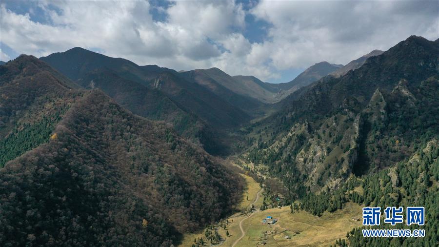 這是10月15日拍攝的北山國(guó)家森林地質(zhì)公園扎龍溝秋景（無(wú)人機(jī)照片）。 深秋時(shí)節(jié)，位于青海省海東市互助土族自治縣境內(nèi)的北山國(guó)家森林地質(zhì)公園內(nèi)，山巒、森林與藍(lán)天組成壯美的秋日畫卷。 新華社記者 張宏祥 攝