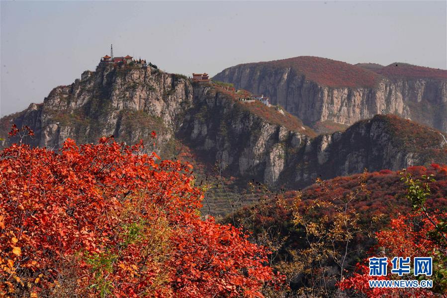 (環(huán)境)(1)河北沙河:紅葉染太行