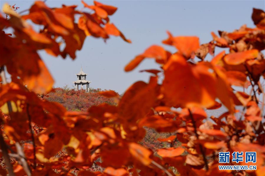 (環(huán)境)(4)河北沙河:紅葉染太行