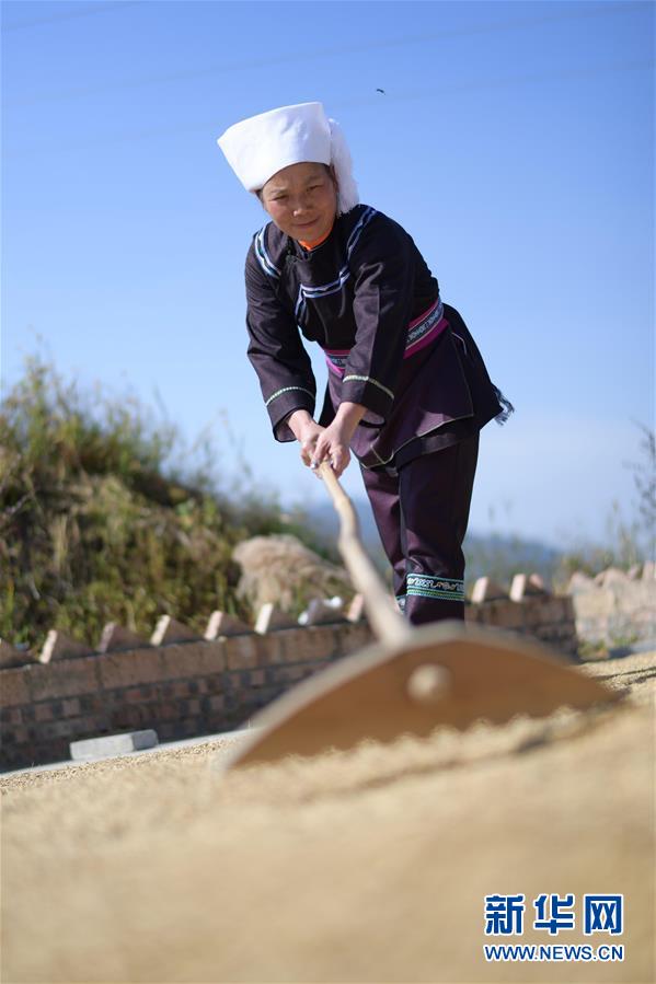 (社會(huì))(6)貴州:深度貧困村拉術(shù)村的蛻變