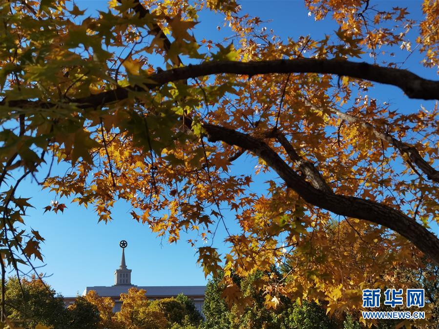 這是10月23日拍攝的北京中國人民革命軍事博物館附近的秋景。 金秋時(shí)節(jié)，北京秋高氣爽、層林盡染，美不勝收。 新華社記者 羅曉光 攝