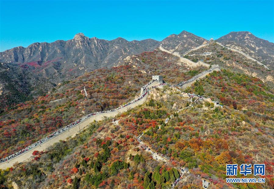 10月24日，游人在八達嶺長城游覽（無人機照片）。 深秋時節(jié)，北京八達嶺長城紅葉進入最佳觀賞期，紅葉映長城美如畫卷。 新華社記者 陳曄華 攝