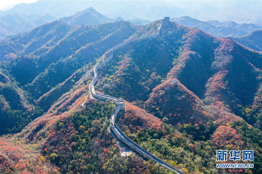這是10月24日拍攝的八達嶺長城秋色（無人機照片）。 深秋時節(jié)，北京八達嶺長城紅葉進入最佳觀賞期，紅葉映長城美如畫卷。 新華社記者 陳曄華 攝