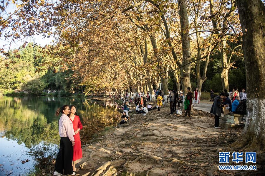 10月25日，游客在貴陽市花溪國(guó)家城市濕地公園黃金大道游玩、拍照留念。 深秋時(shí)分，貴州省貴陽市花溪國(guó)家城市濕地公園黃金大道秋意盎然，吸引眾多游客前來觀賞游玩。 新華社記者 陶亮 攝