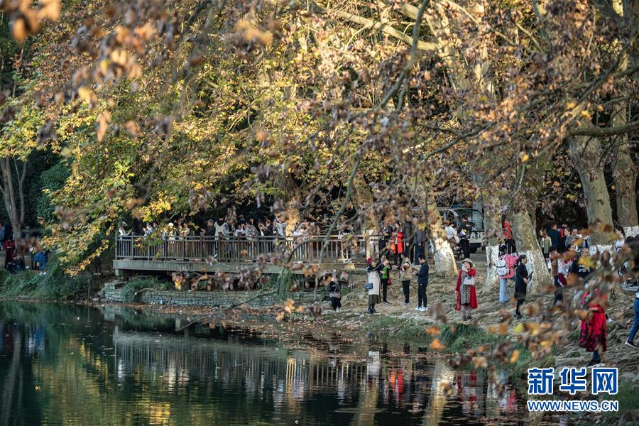 10月25日，游客在貴陽市花溪國(guó)家城市濕地公園黃金大道游玩。 深秋時(shí)分，貴州省貴陽市花溪國(guó)家城市濕地公園黃金大道秋意盎然，吸引眾多游客前來觀賞游玩。 新華社記者 陶亮 攝