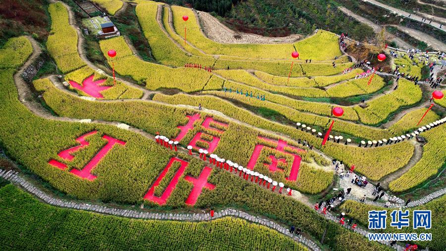 11月1日空中俯瞰指南村的金色稻田（無人機(jī)照片）。 11月1日，“指南紅葉節(jié)”活動(dòng)在浙江省杭州市臨安區(qū)太湖源鎮(zhèn)指南村舉行。本次金秋紅葉節(jié)將舉行觀賞金秋紅葉梯田、梯田稻谷收割、古戲臺(tái)銀杏音樂會(huì)、山頂星空露營帳篷節(jié)等系列主題活動(dòng)。 指南村海拔近600米，森林覆蓋率達(dá)93%以上。每到深秋，村落周邊的千畝梯田、金黃的銀杏和火紅的楓樹將指南村裝扮得美如畫卷。 新華社記者 徐昱 攝