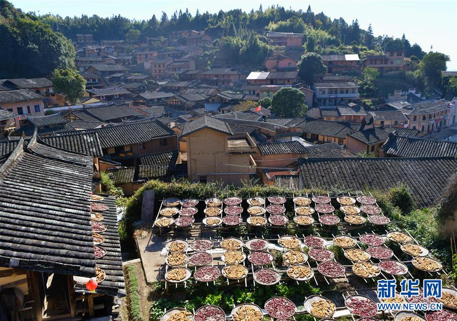 這是11月1日拍攝的桂峰村曬秋畫面。 深秋時節(jié)，位于福建省三明市尤溪縣洋中鎮(zhèn)的桂峰村，古民居與曬匾里五彩繽紛的農(nóng)作物，構(gòu)成五彩斑斕的調(diào)色板，展現(xiàn)秋收風(fēng)情。 新華社記者魏培全攝