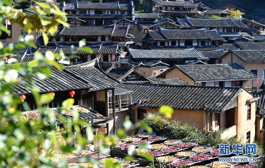 這是11月1日拍攝的桂峰村村貌。 深秋時節(jié)，位于福建省三明市尤溪縣洋中鎮(zhèn)的桂峰村，古民居與曬匾里五彩繽紛的農(nóng)作物，構(gòu)成五彩斑斕的調(diào)色板，展現(xiàn)秋收風(fēng)情。 新華社記者魏培全攝
