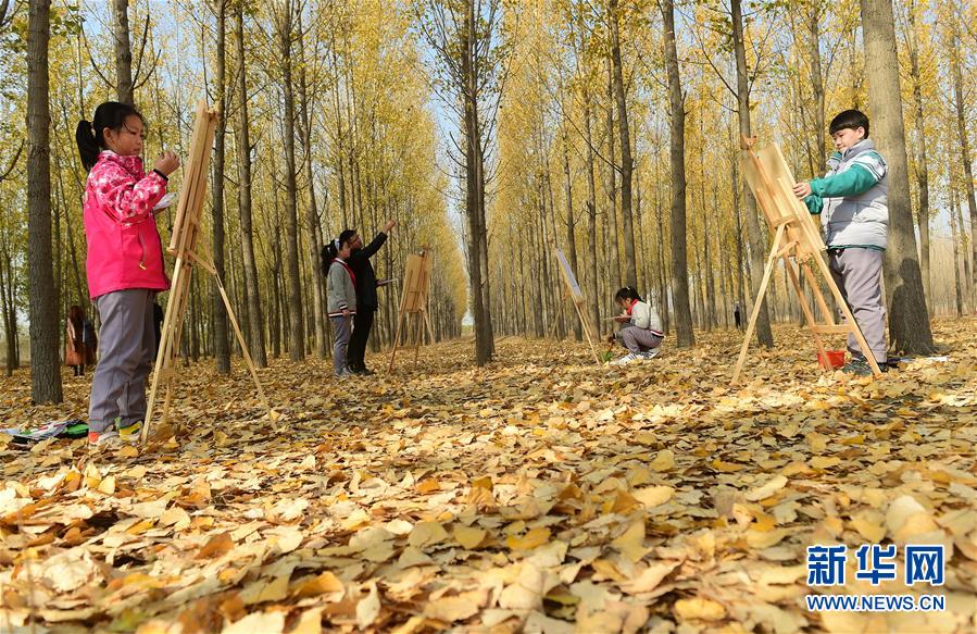 11月4日，滄州市實(shí)驗(yàn)小學(xué)學(xué)生在一處林地內(nèi)繪畫。 深秋時(shí)節(jié)，河北省滄州市實(shí)驗(yàn)小學(xué)美術(shù)興趣小組的學(xué)生在老師的帶領(lǐng)下走出教室，走進(jìn)大自然，以“多彩森林”為主題，用畫筆描繪斑斕秋色。 新華社發(fā)（傅新春 攝）
