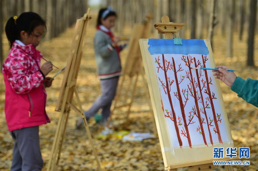 11月4日，滄州市實(shí)驗(yàn)小學(xué)學(xué)生在一處林地內(nèi)繪畫。 深秋時(shí)節(jié)，河北省滄州市實(shí)驗(yàn)小學(xué)美術(shù)興趣小組的學(xué)生在老師的帶領(lǐng)下走出教室，走進(jìn)大自然，以“多彩森林”為主題，用畫筆描繪斑斕秋色。 新華社發(fā)（傅新春 攝）