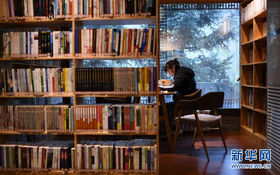 11月8日，一名讀者在西寧市城西區(qū)一處“五峰書院”閱讀。 近年來，青海省西寧市城西區(qū)不斷完善公共文化服務(wù)體系，以“書店+咖啡”“書店+文創(chuàng)”等方式，打造多處城市書房，為讀者提供優(yōu)質(zhì)的公共閱讀空間。目前，西寧市城西區(qū)已建成8處免費(fèi)開放的“五峰書院”城市書房，總藏書超過18萬冊，電子圖書超過23萬冊。 新華社記者 張宏祥 攝