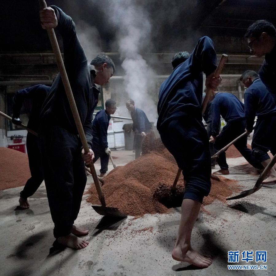 11月28日，釀酒工人在進(jìn)行潤糧操作。小雪剛過，貴州省仁懷市茅臺鎮(zhèn)茅臺酒廠制酒車間一派忙碌景象。茅臺酒傳統(tǒng)釀造工藝始于秦漢，熟于唐宋，精于明清，需經(jīng)一年生產(chǎn)周期，二次投料、九次蒸煮、八次發(fā)酵、七次取酒。傳統(tǒng)技藝的傳承，也賦予了其獨(dú)特的口感和醇香。新華社記者 王毓國 攝