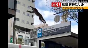 點擊進入下一頁