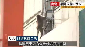 點擊進入下一頁