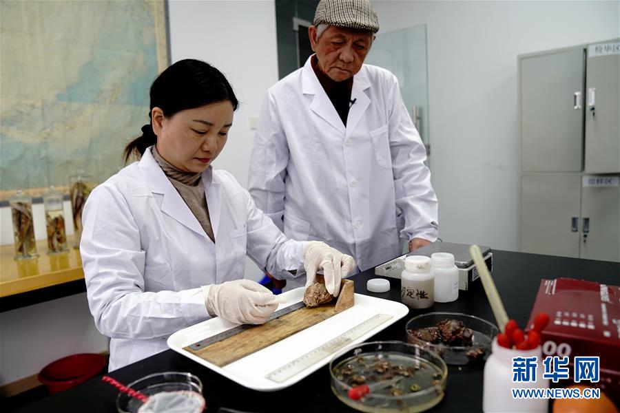 (社會)(4)陳亞瞿:八旬教授堅持長江口生態(tài)修復(fù)