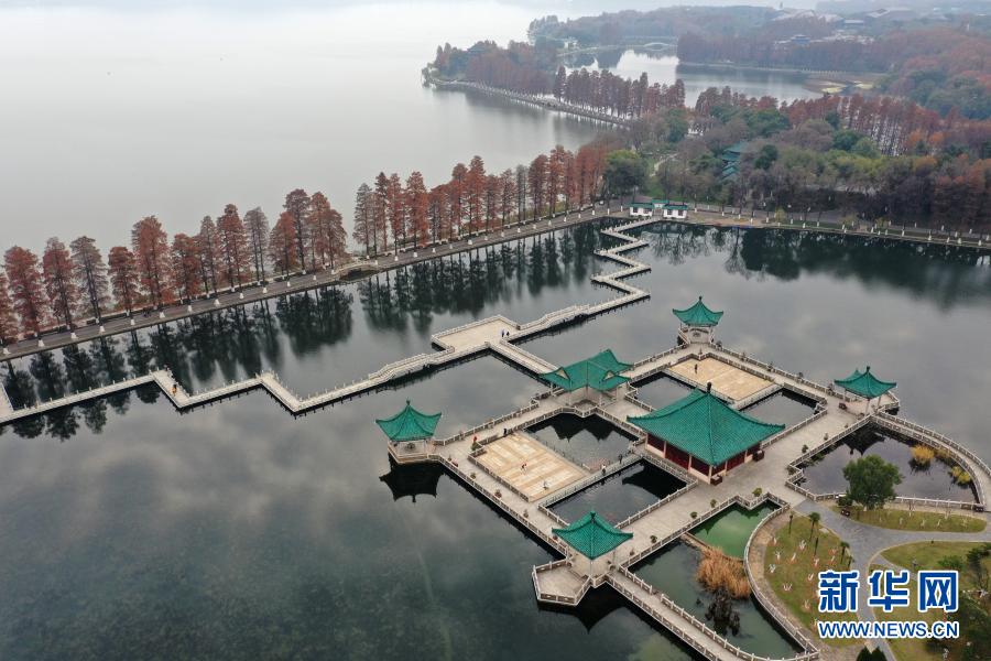 12月15日拍攝的湖北武漢東湖美景（無人機照片）。初冬時節(jié)，湖北武漢東湖紅葉如畫，景色怡人。新華社發(fā)（彭琦 攝）