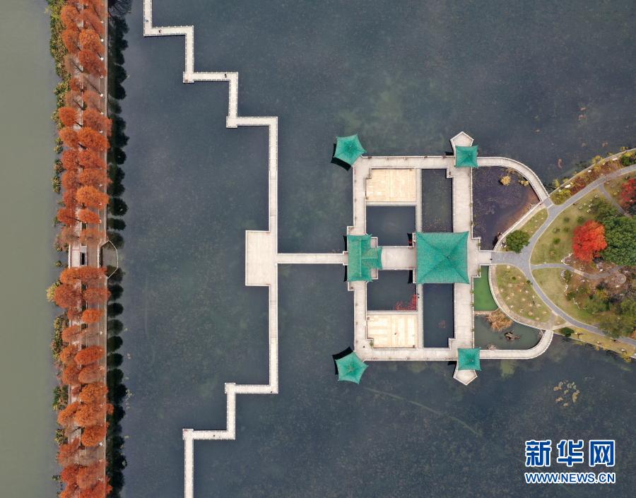 12月15日拍攝的湖北武漢東湖美景（無人機照片）。初冬時節(jié)，湖北武漢東湖紅葉如畫，景色怡人。新華社發(fā)（彭琦 攝）