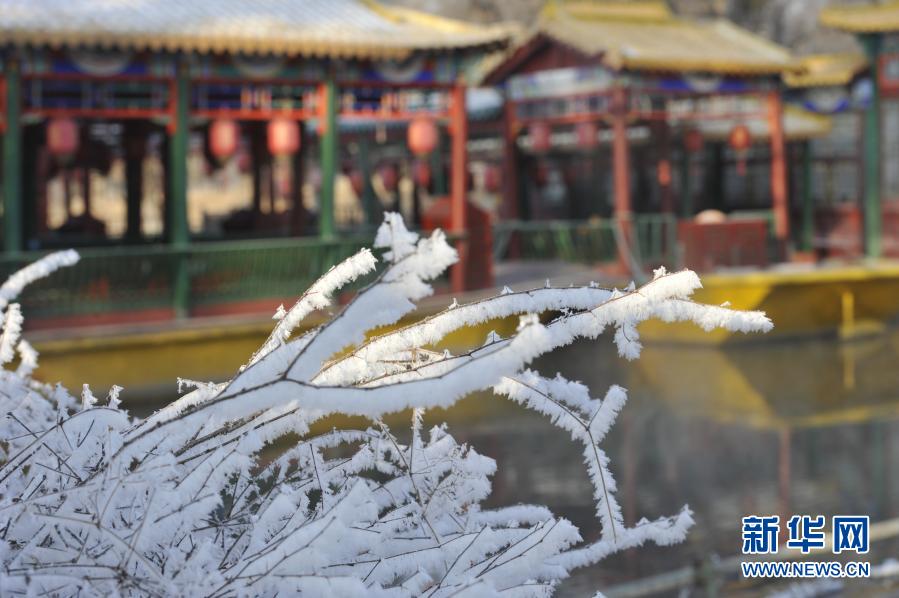 這是12月27日拍攝的承德避暑山莊霧凇美景。新華社發(fā)（王立群 攝）