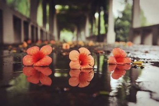人到中年，學(xué)會“斷舍離”，你會越來越“富有”