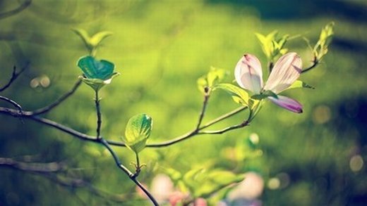 人到中年，學(xué)會“斷舍離”，你會越來越“富有”