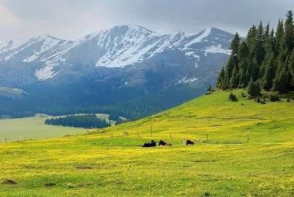 新疆最值得去的十大自然景區(qū)