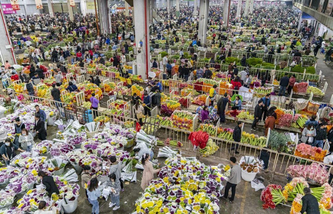 中國6大花市，全國最大的花卉批發(fā)市場介紹