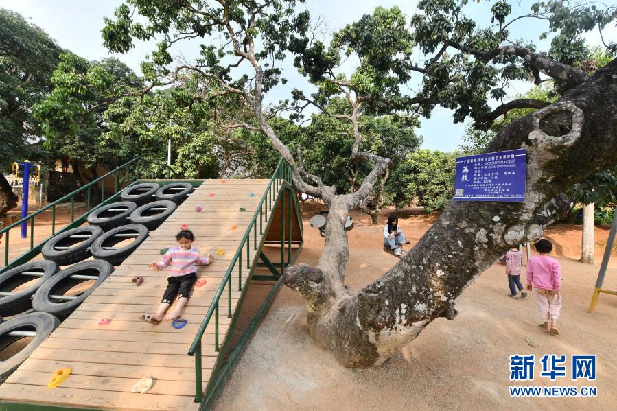 　　1月27日，在廣西欽州市浦北縣北通鎮(zhèn)清湖村九梅麓自然村，小朋友們?cè)谟脧U舊輪胎、鋼管打造的游樂設(shè)施上玩耍?！　〗陙?lái)，廣西欽州市浦北縣在建設(shè)美麗村屯工作中，遵循“低成本、全覆蓋、可持續(xù)”工作思路，巧用廢舊磚瓦農(nóng)具等物件打造成景觀，扮靚村屯，帶動(dòng)鄉(xiāng)村旅游業(yè)發(fā)展。　　新華社記者 黃孝邦 攝