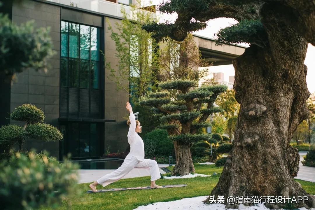7個(gè)超適合度假的江浙滬酒店，不出省也能玩轉(zhuǎn)春節(jié)假期