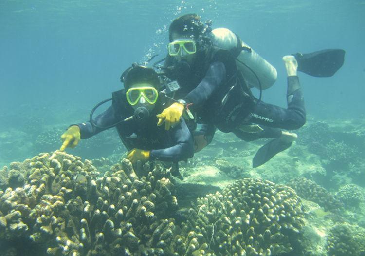 中國最美的5個海島，風景不輸馬爾代夫，你去過幾個？