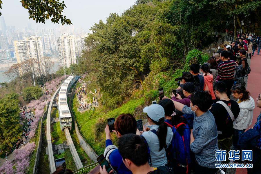 2月23日，在重慶軌道交通2號(hào)線佛圖關(guān)段，游客在山城步道上拍攝穿越花海的單軌列車。初春時(shí)節(jié)，重慶氣溫逐漸回暖，暖陽(yáng)里的山城春意盎然。在重慶軌道交通2號(hào)線佛圖關(guān)段，山城步道上的梅花簇簇綻放，單軌列車穿越花海，組成一幅賞心悅目的獨(dú)特城市景觀。新華社記者 劉潺 攝