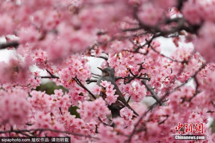 點(diǎn)擊進(jìn)入下一頁(yè)