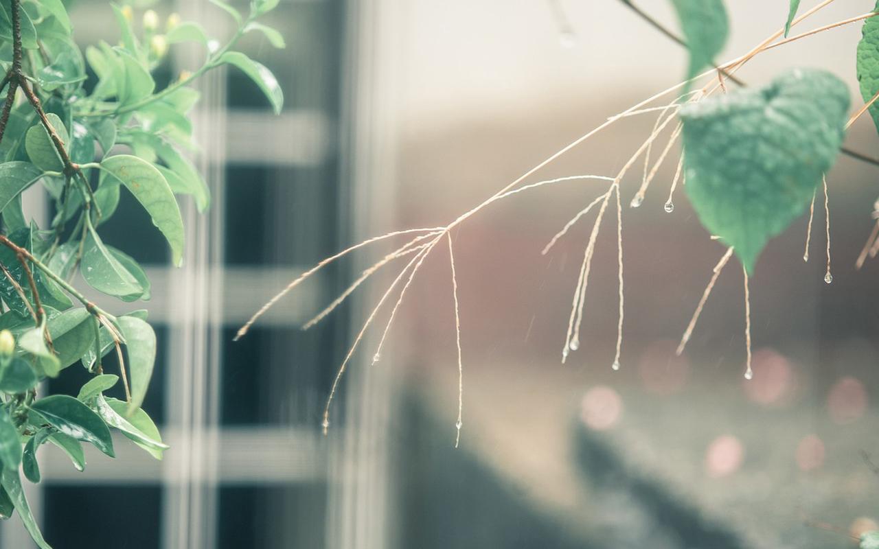為什么“不努力”的人生，才更容易越混越好