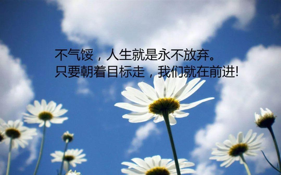 為什么“不努力”的人生，才更容易越混越好