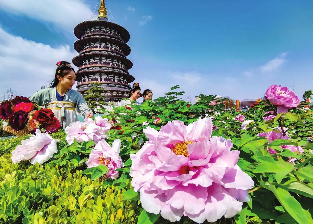 網(wǎng)友評(píng)出的中國十大花會(huì)節(jié)，2021不要錯(cuò)過的美好！