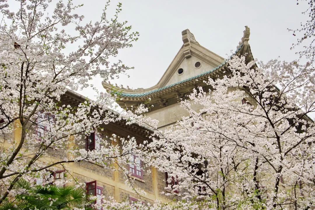 網(wǎng)友評(píng)出的中國十大花會(huì)節(jié)，2021不要錯(cuò)過的美好！