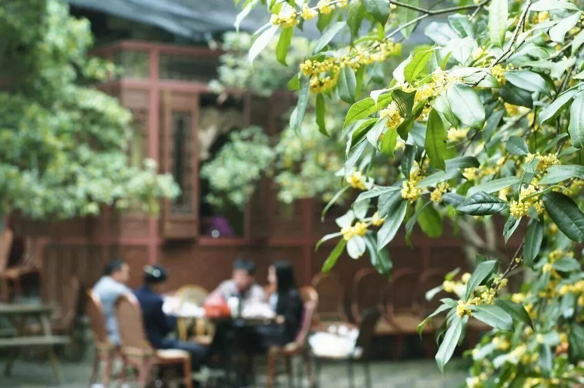 網(wǎng)友評(píng)出的中國十大花會(huì)節(jié)，2021不要錯(cuò)過的美好！