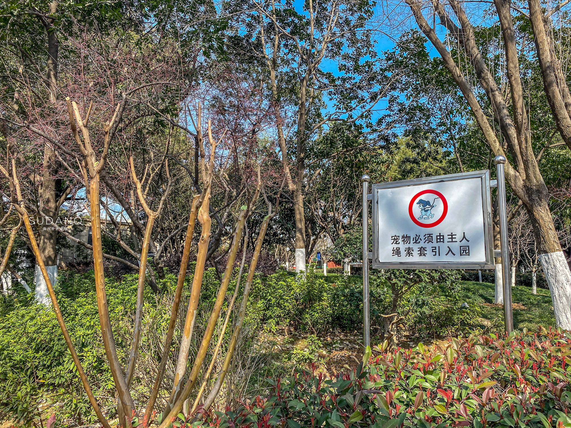 武漢這座古塔相傳是“鎮(zhèn)龍”之物、沒有影子，“江南龍脈”有玄機(jī)