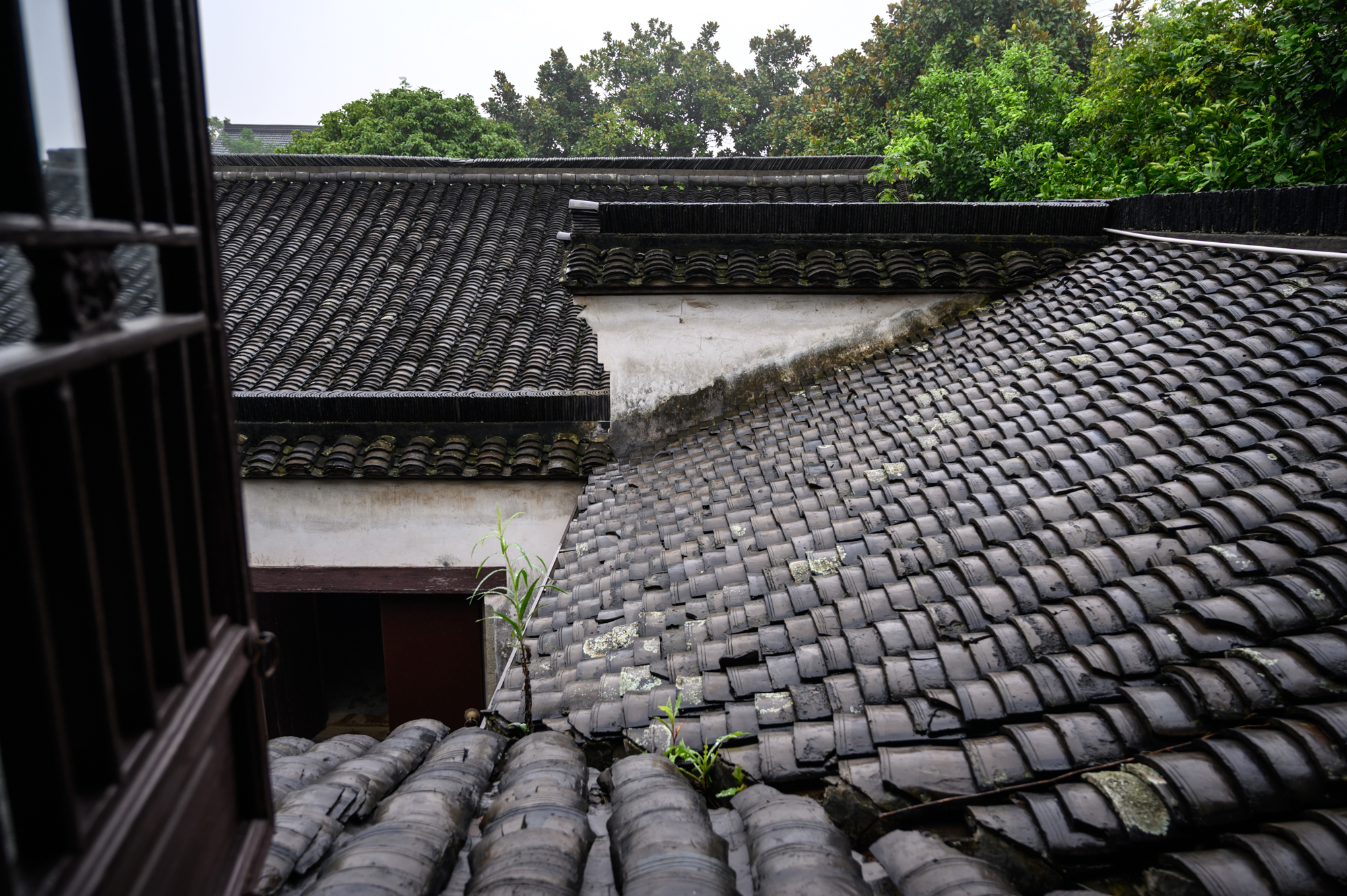 海寧值得一去的3處名人故居，人少景美文化底蘊(yùn)深厚，門(mén)票還不貴