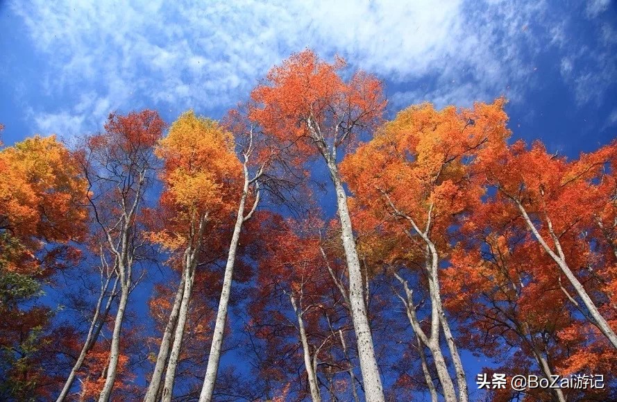 到四川巴中市旅游必去的10個(gè)景點(diǎn)，你去過(guò)幾個(gè)？最喜歡哪個(gè)景點(diǎn)？