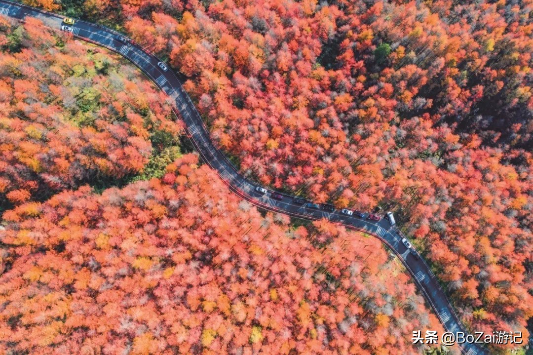 到四川巴中市旅游必去的10個(gè)景點(diǎn)，你去過(guò)幾個(gè)？最喜歡哪個(gè)景點(diǎn)？