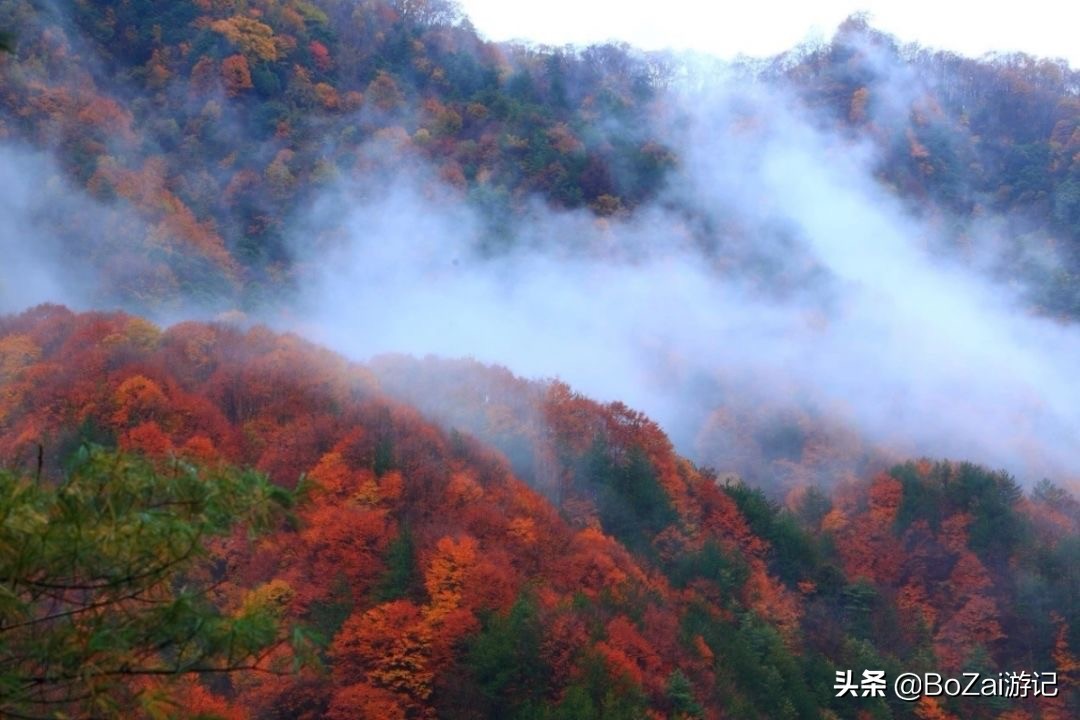 到四川巴中市旅游必去的10個(gè)景點(diǎn)，你去過(guò)幾個(gè)？最喜歡哪個(gè)景點(diǎn)？