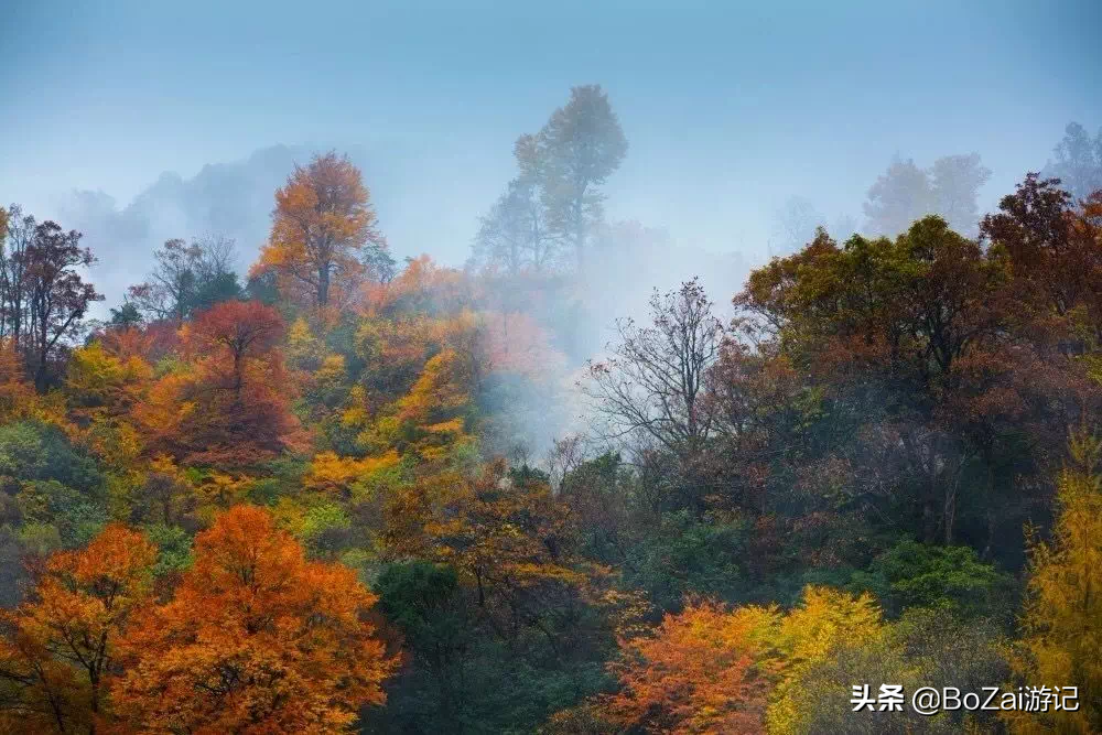 到四川巴中市旅游必去的10個(gè)景點(diǎn)，你去過(guò)幾個(gè)？最喜歡哪個(gè)景點(diǎn)？