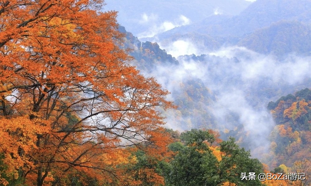 到四川巴中市旅游必去的10個(gè)景點(diǎn)，你去過(guò)幾個(gè)？最喜歡哪個(gè)景點(diǎn)？
