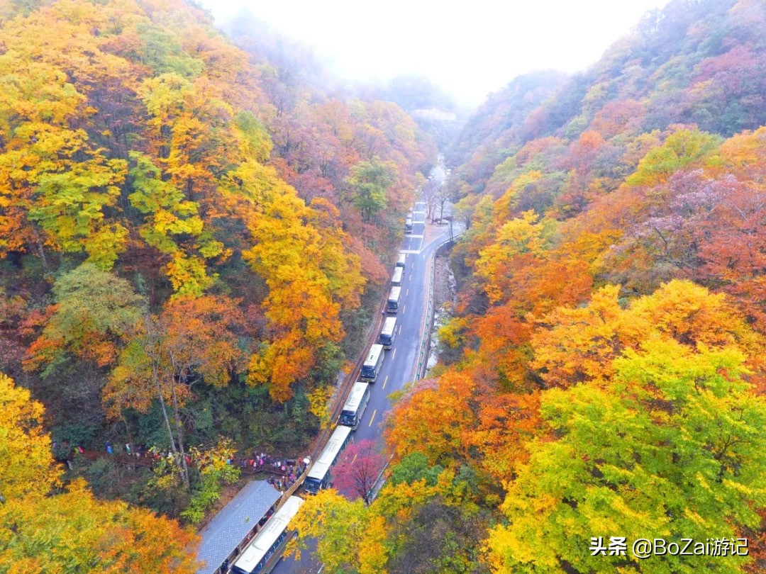 到四川巴中市旅游必去的10個(gè)景點(diǎn)，你去過(guò)幾個(gè)？最喜歡哪個(gè)景點(diǎn)？