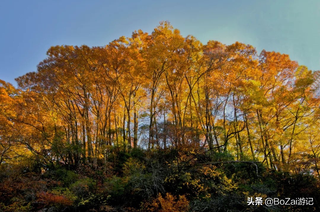 到四川巴中市旅游必去的10個(gè)景點(diǎn)，你去過(guò)幾個(gè)？最喜歡哪個(gè)景點(diǎn)？